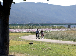 황산공원 자전거도로 및 야생화단지 일부의 썸네일